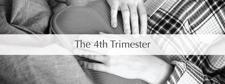 The Fourth Trimester - Fitt Beyond Pregnancy