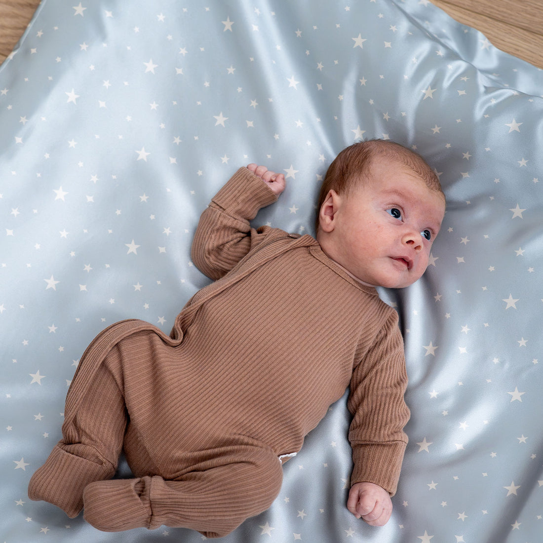 Silk Flat Sheet/Blankie