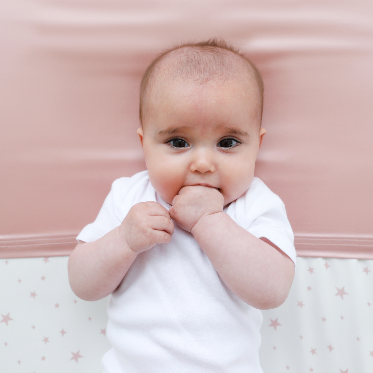 Silky Tots