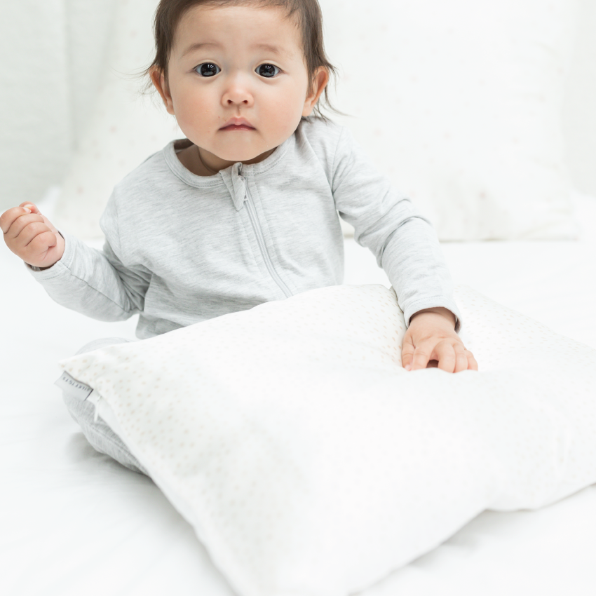Silk Toddler Pillow